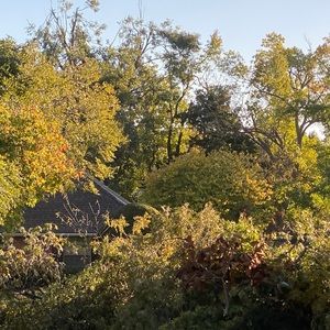 Meet your Posher, Katy